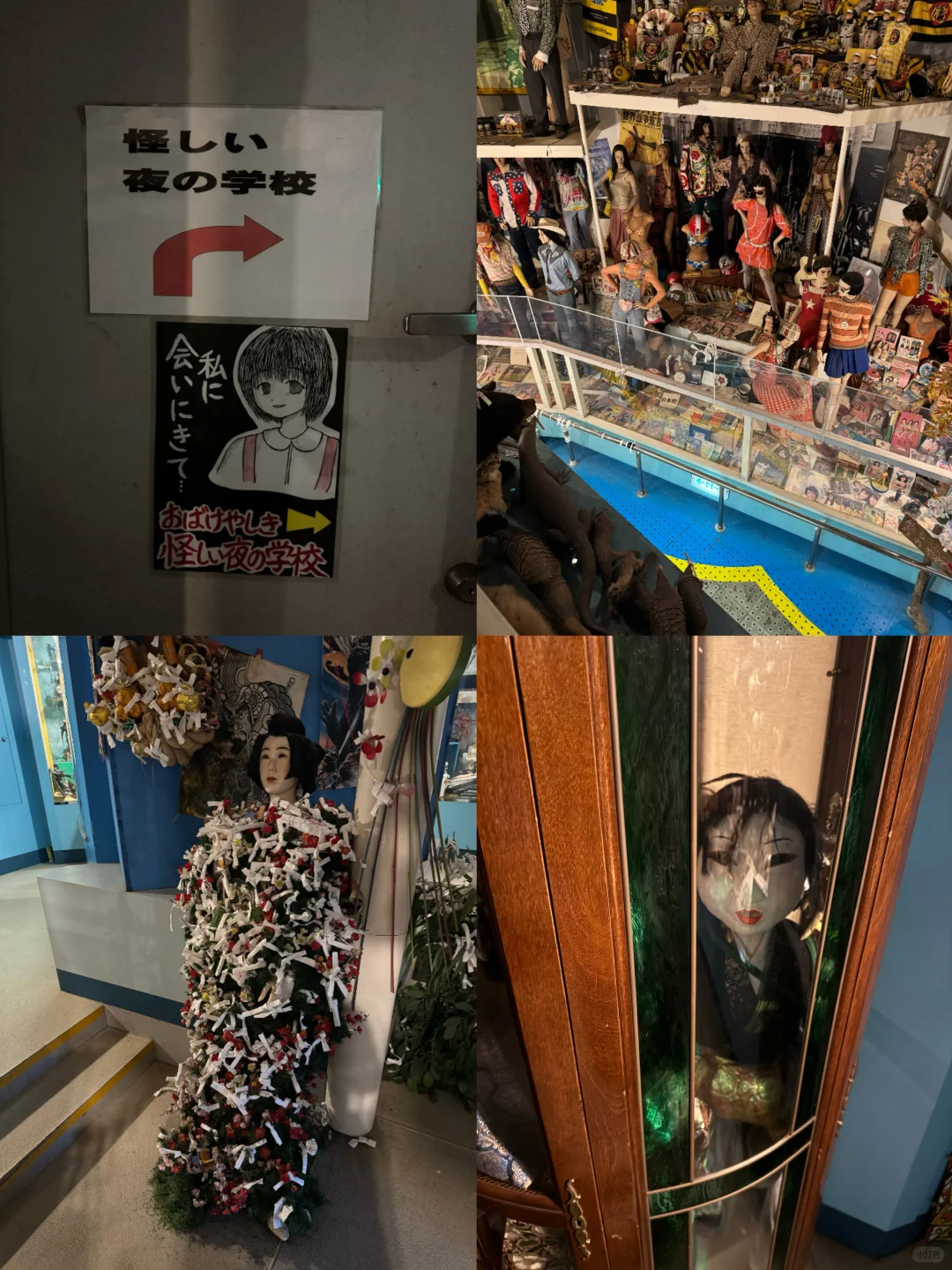 伊豆猎奇博览会系列?