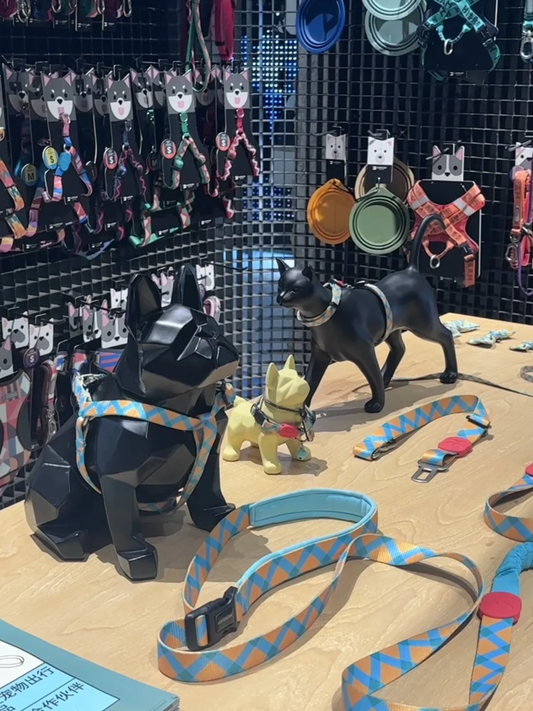 随机掉落1️⃣张亚宠门票?宠物源头工厂来啦