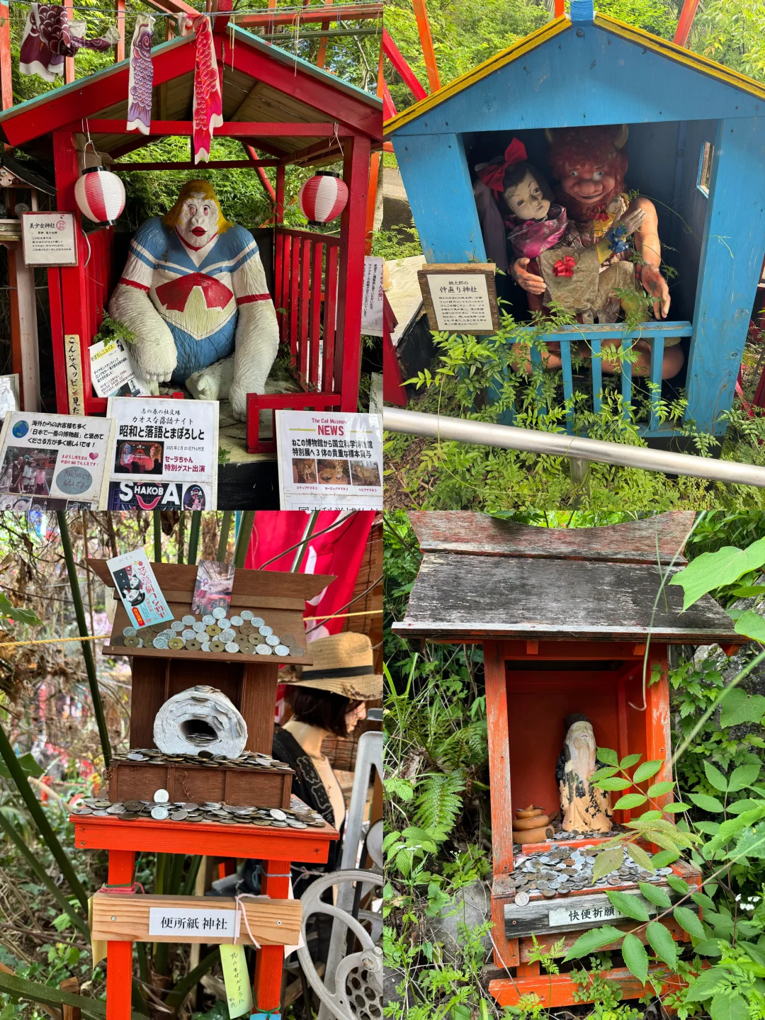 伊豆猎奇博览会系列?