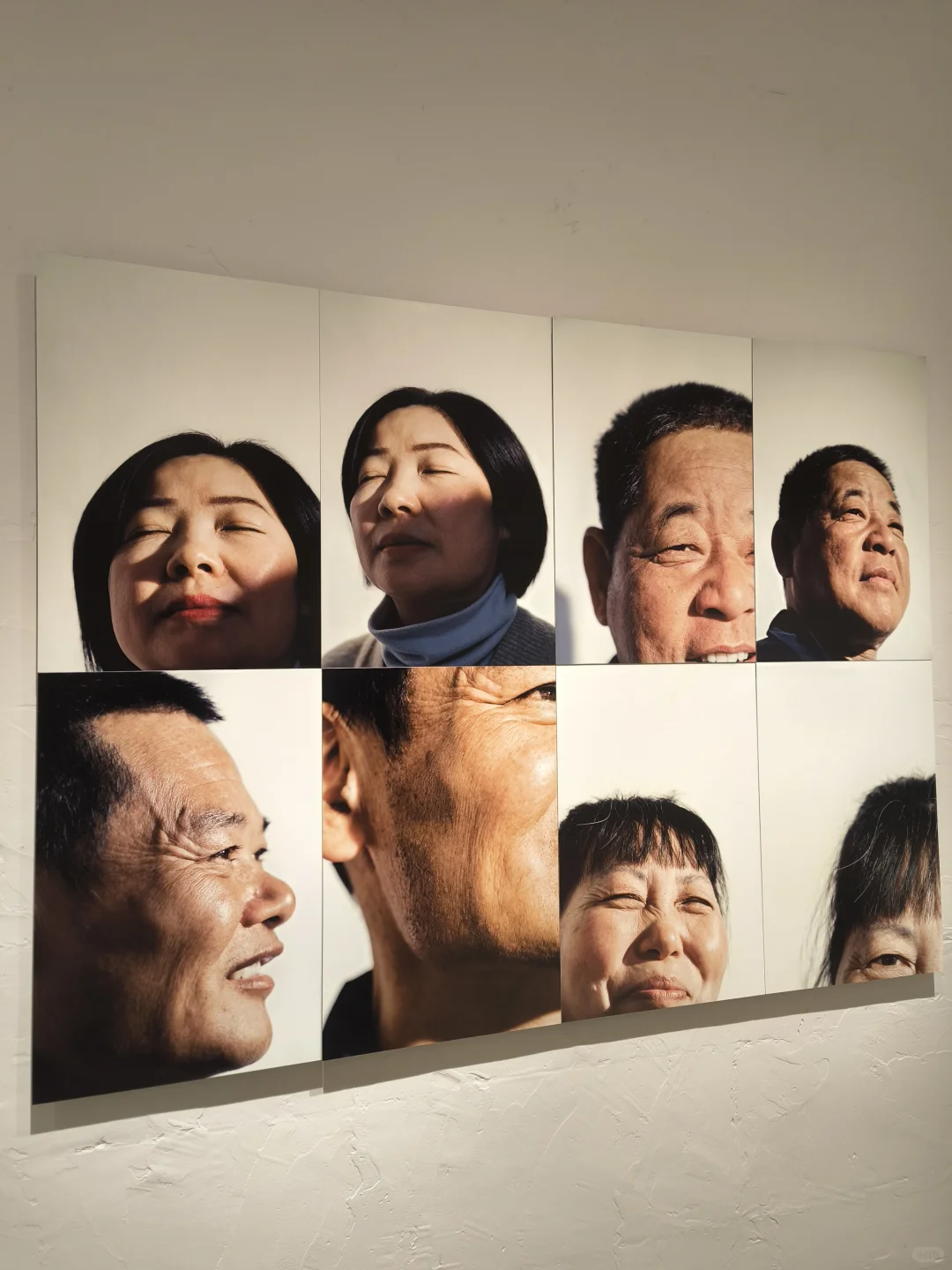 FREE | 上海展，布的折叠术In Room～?✨