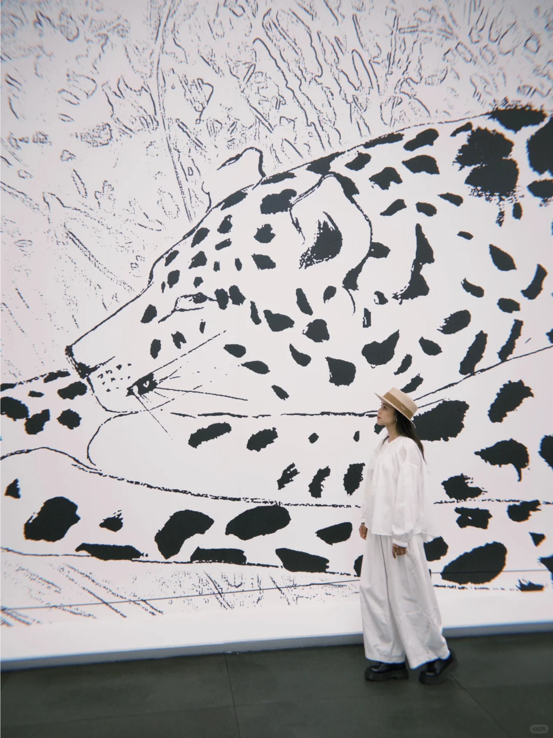 深圳免费新展｜走进满墙的小熊世界?，好可爱