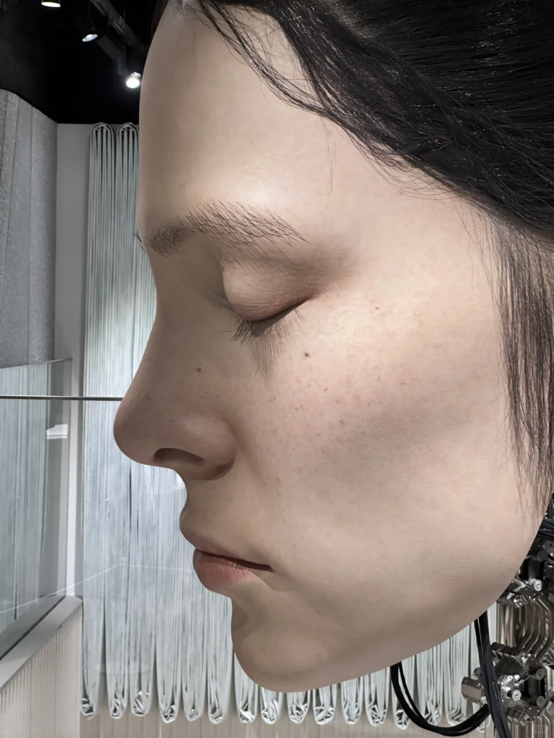 ?️上海巨人展 | GM HAUS?