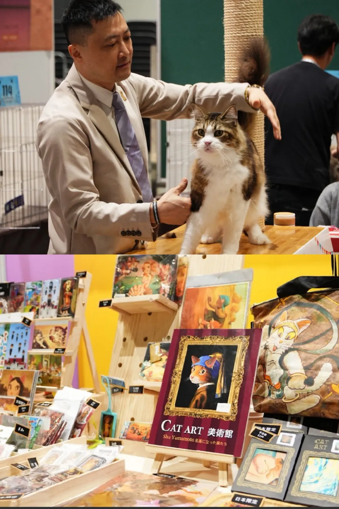 ??吸猫人士别错过香港猫咪博览会‼