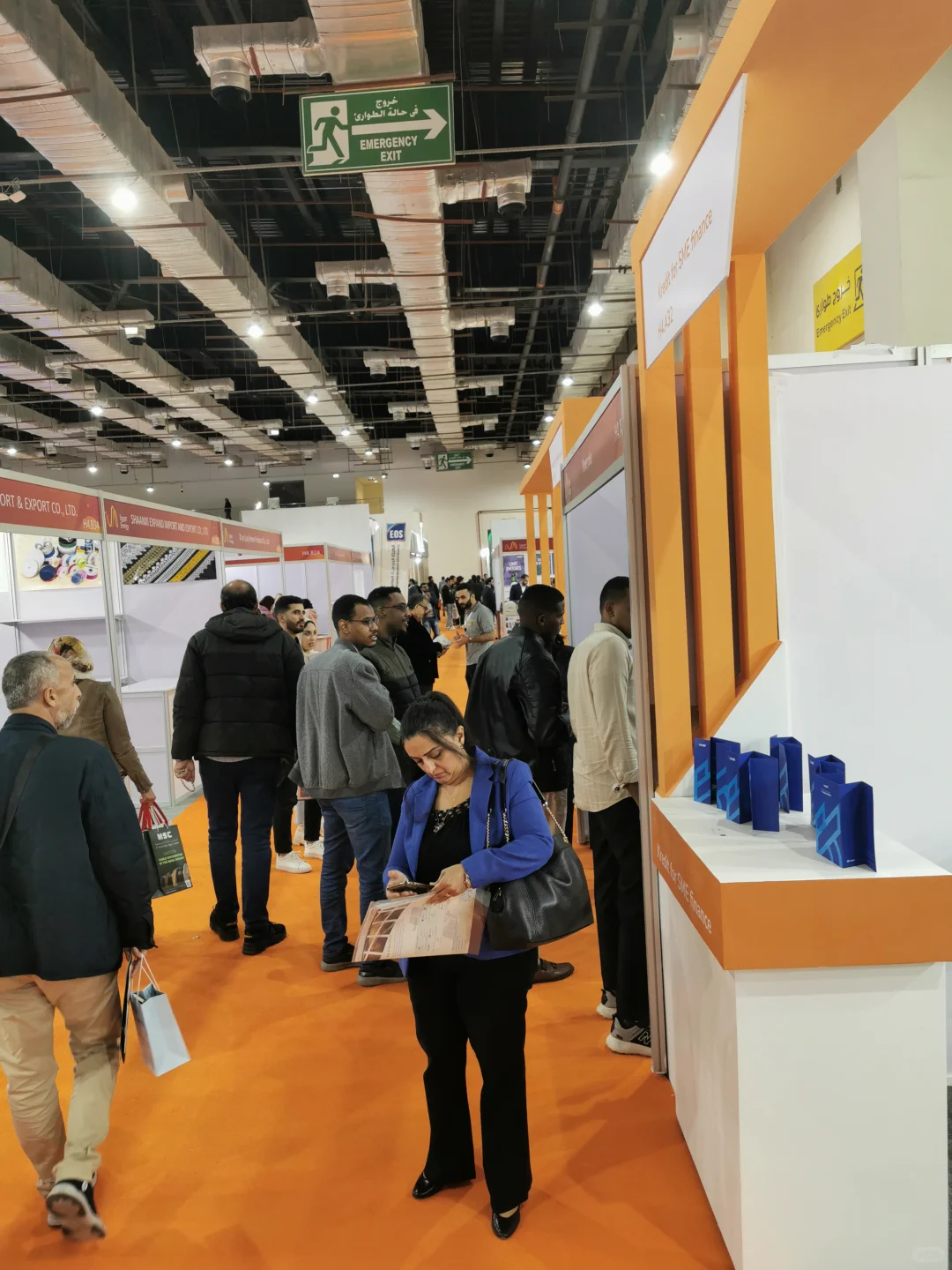 2025年埃及国际电力能源及照明展览会