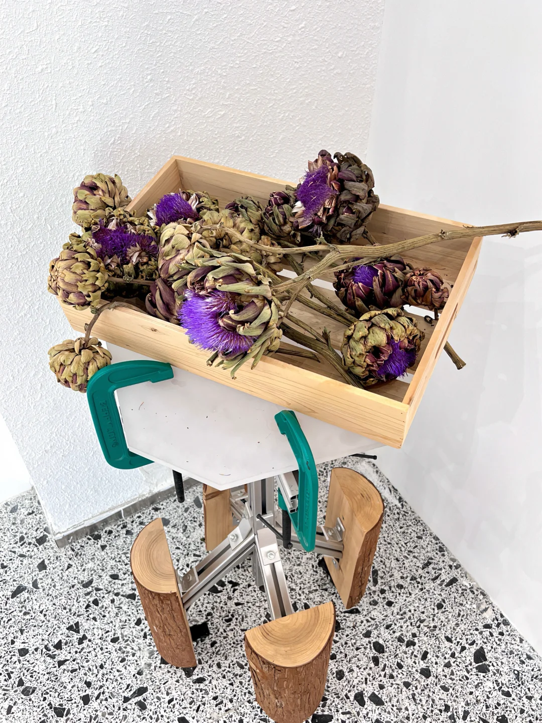 北京免费新展｜朝圣之路➡️?