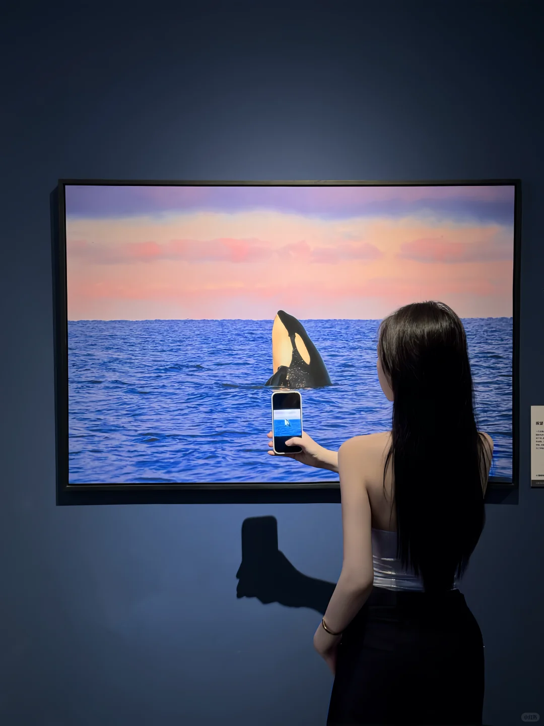 那些我没去过的地方，中国国家地理替我去了✨