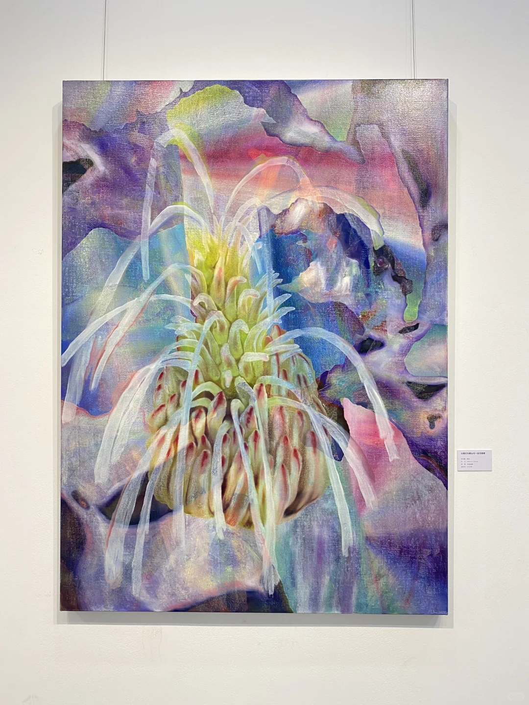 深圳艺术展：交互的未来