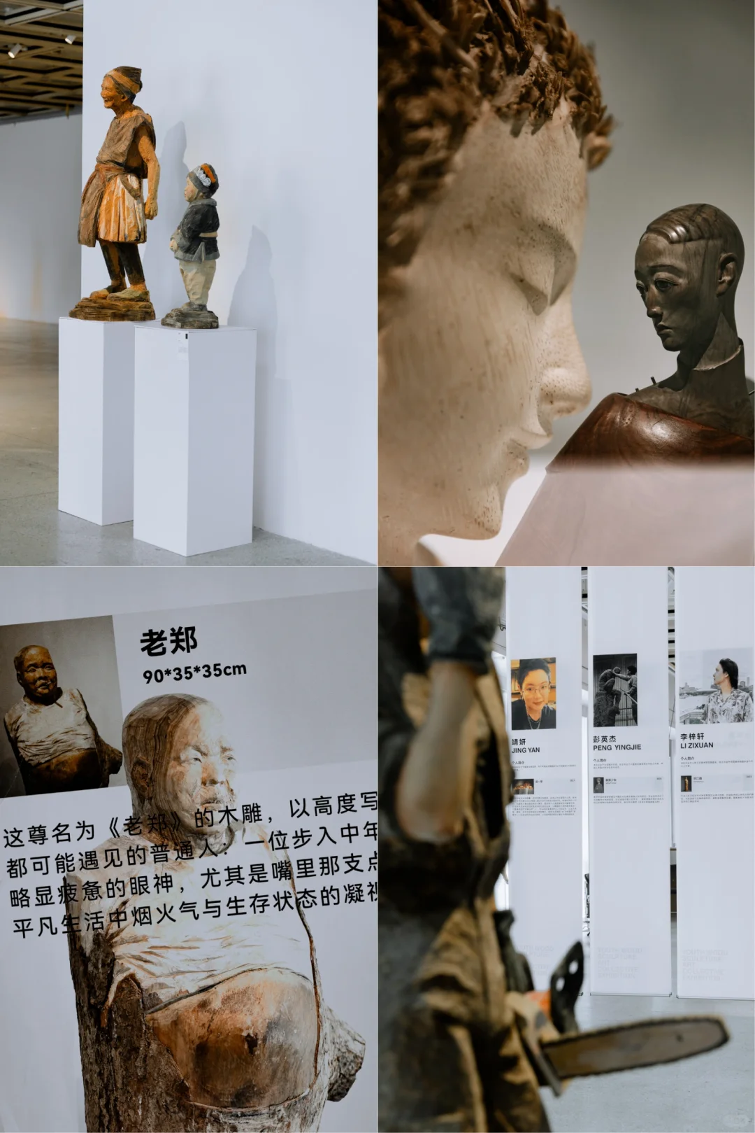 宁波文化馆有新展啦/木绎新生?2️⃣系列