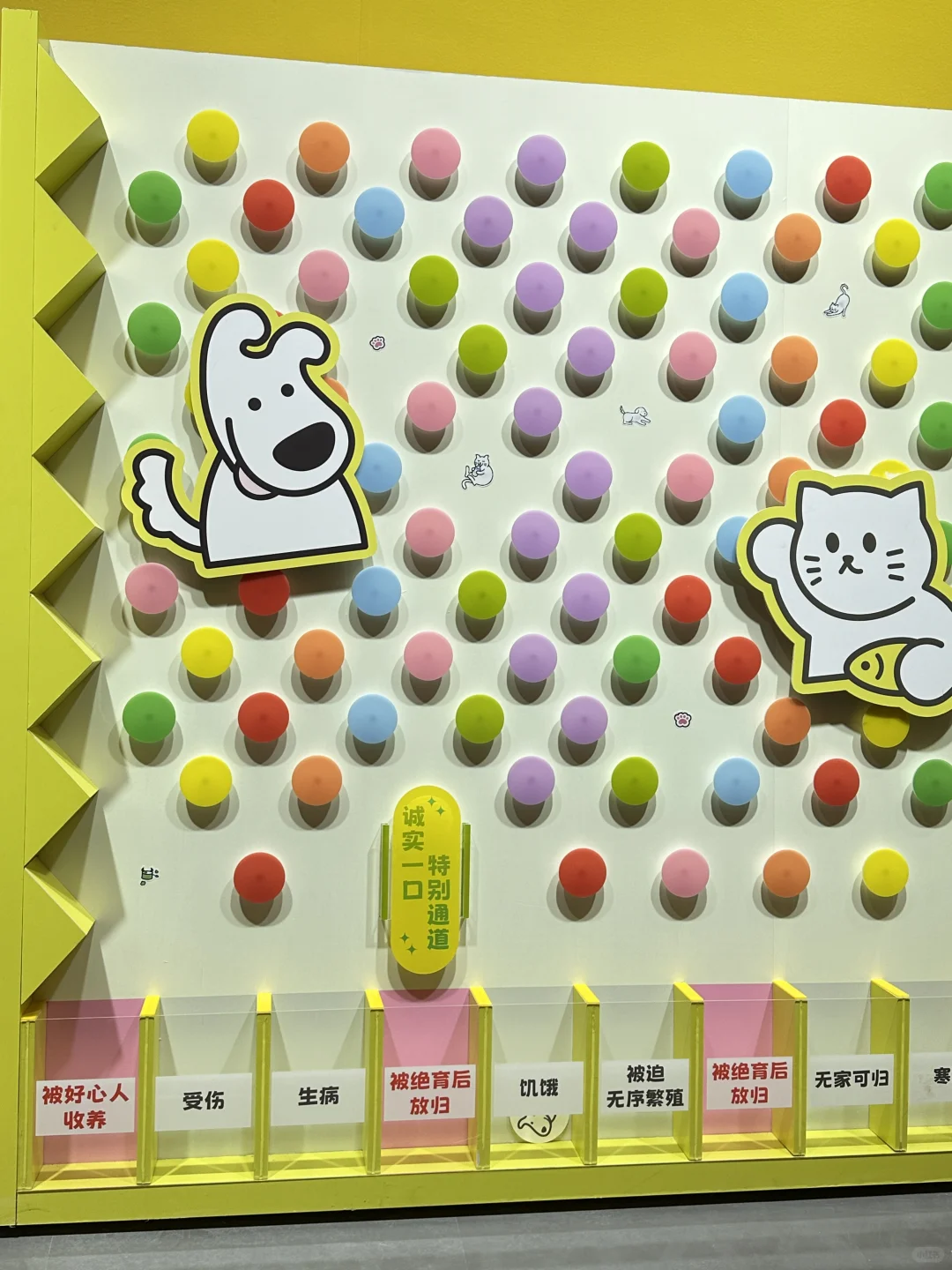 脚走穿了才总结出今年亚宠展?玩法