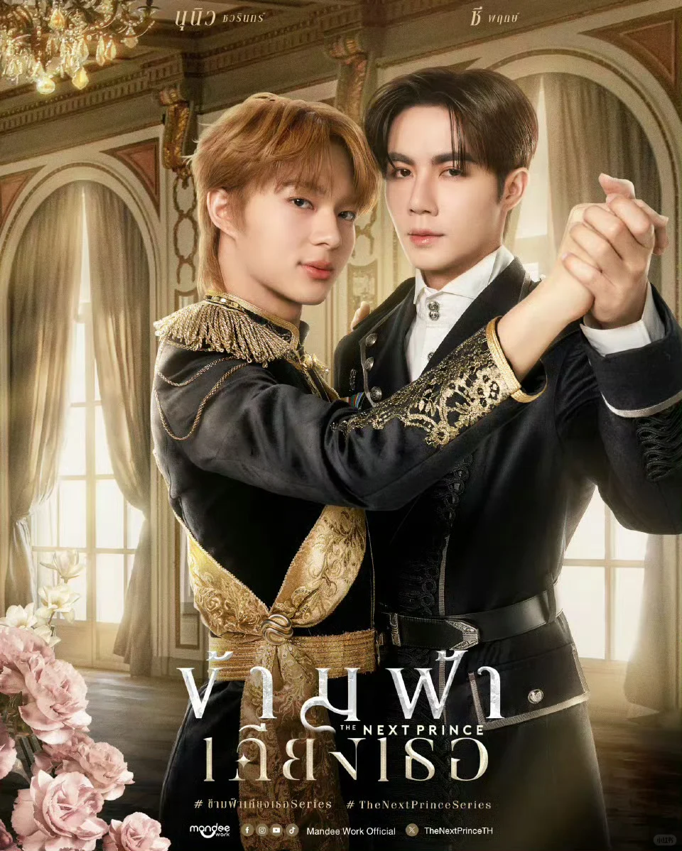 DMD推介会(只是个人的一些看法)