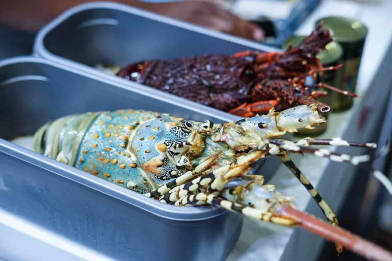 2025亚洲海鲜展Seafood Expo Asia