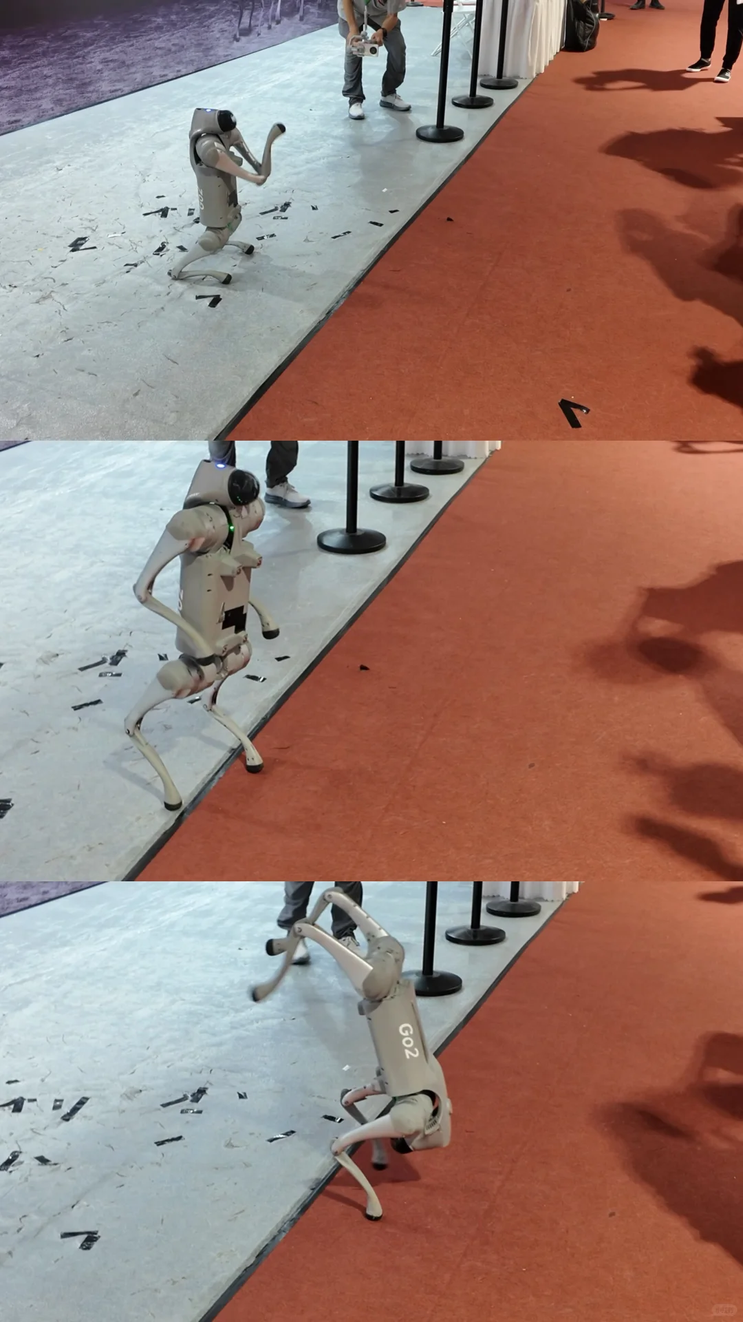 BIRTV!明年再见!!