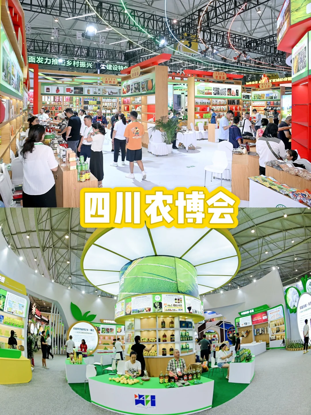 激动人心的四川农业博览会今天震撼开启!