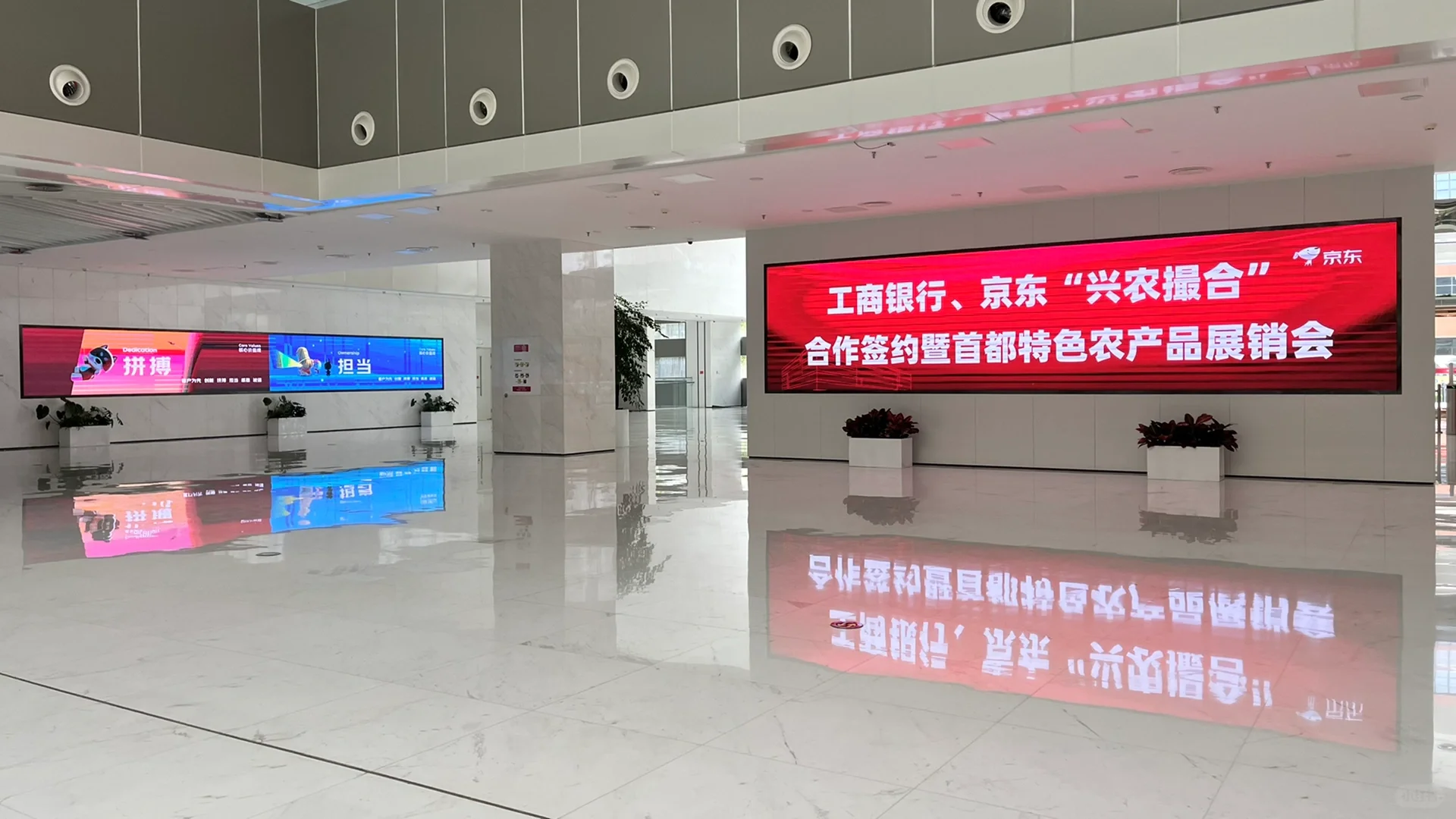 ??京东日记Day42 | 4号楼农产品展销会