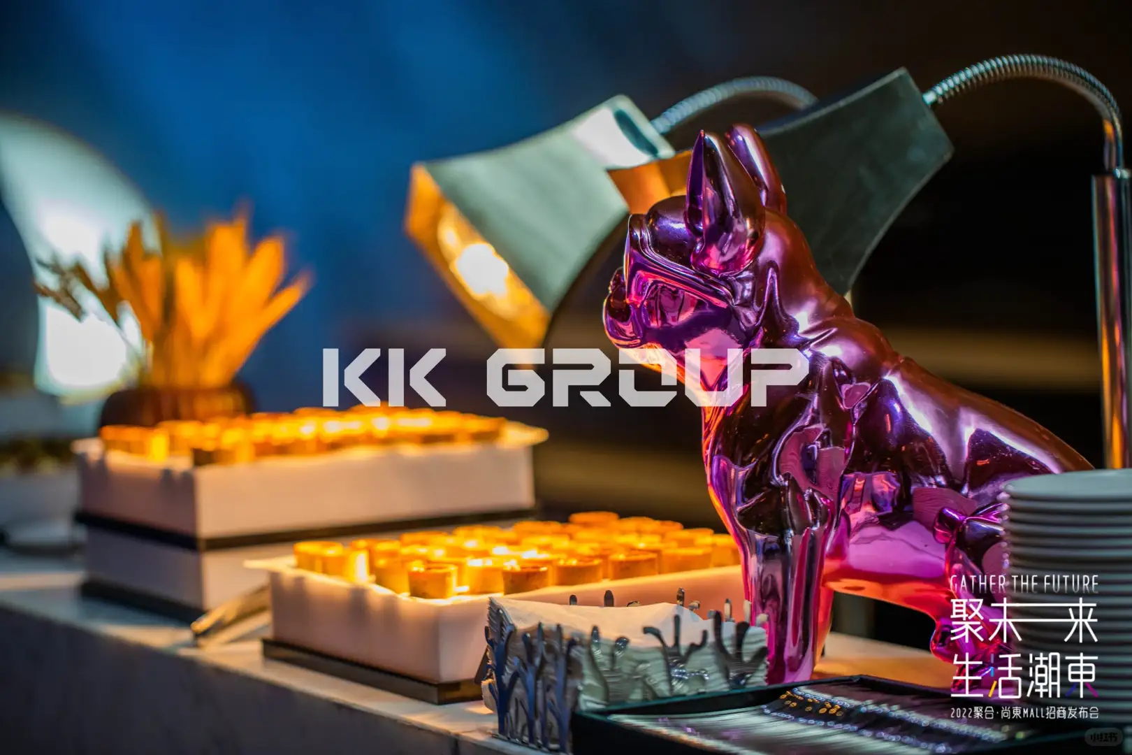 往期案例|招商大会案例分享