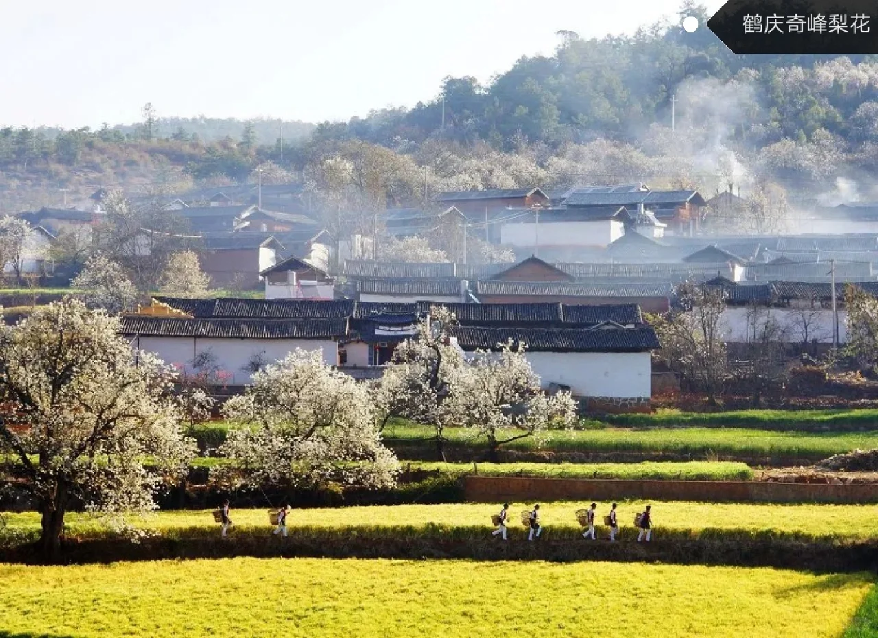 招商推介会浪漫致辞:去有风的地方追风赶月