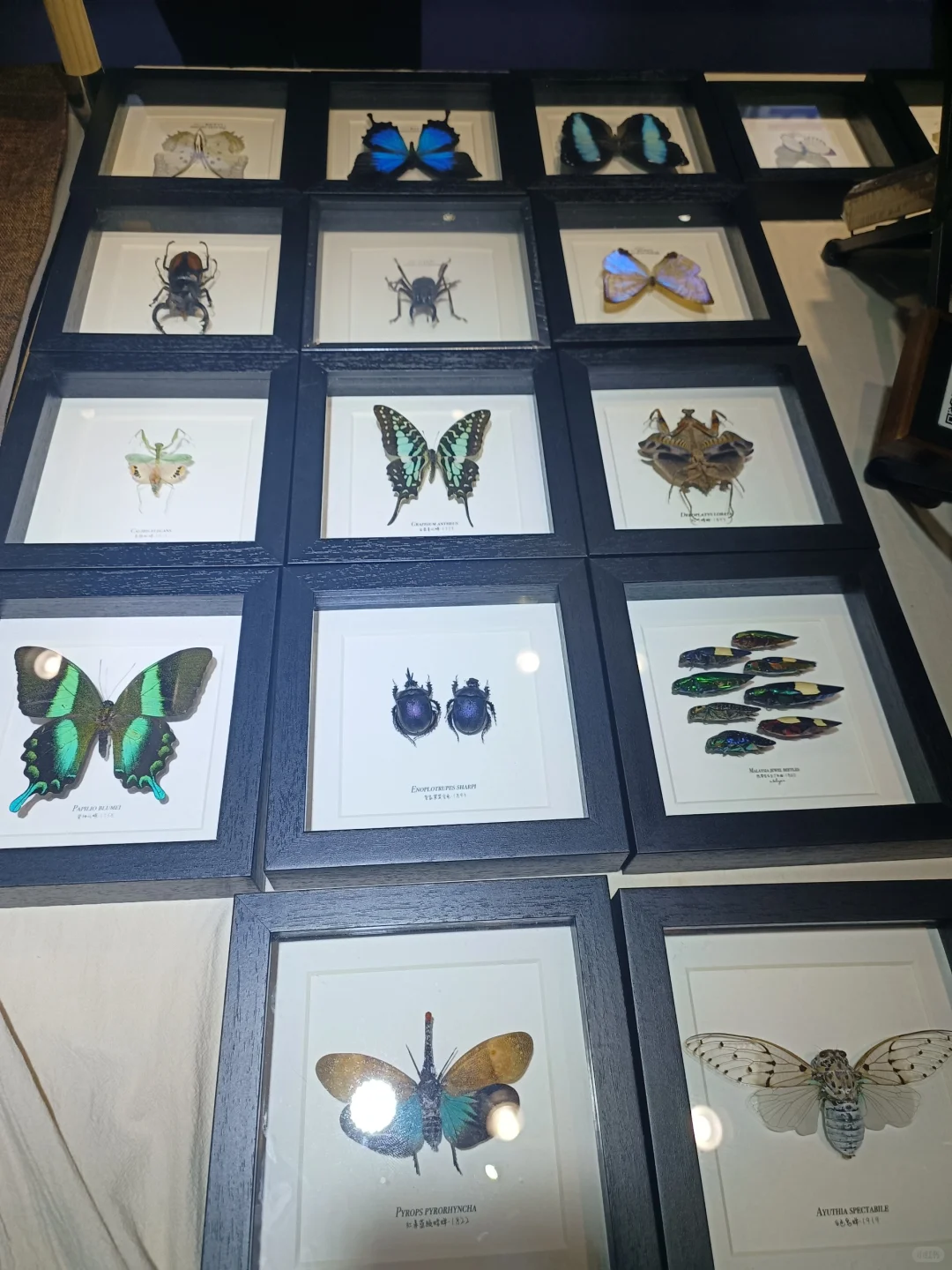 上海国际会展中心长三角文创展碎片来啦