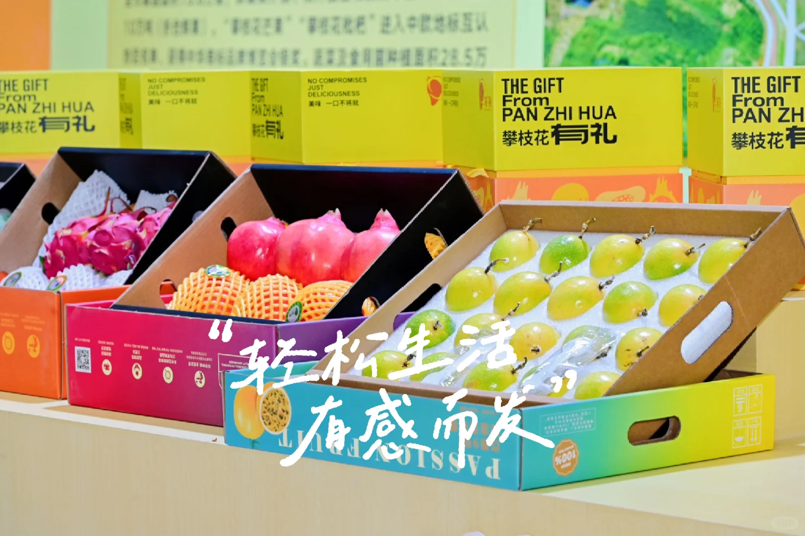 激动人心的四川农业博览会今天震撼开启!