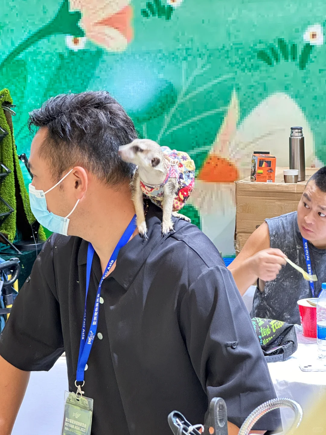 脚走穿了才总结出今年亚宠展?玩法