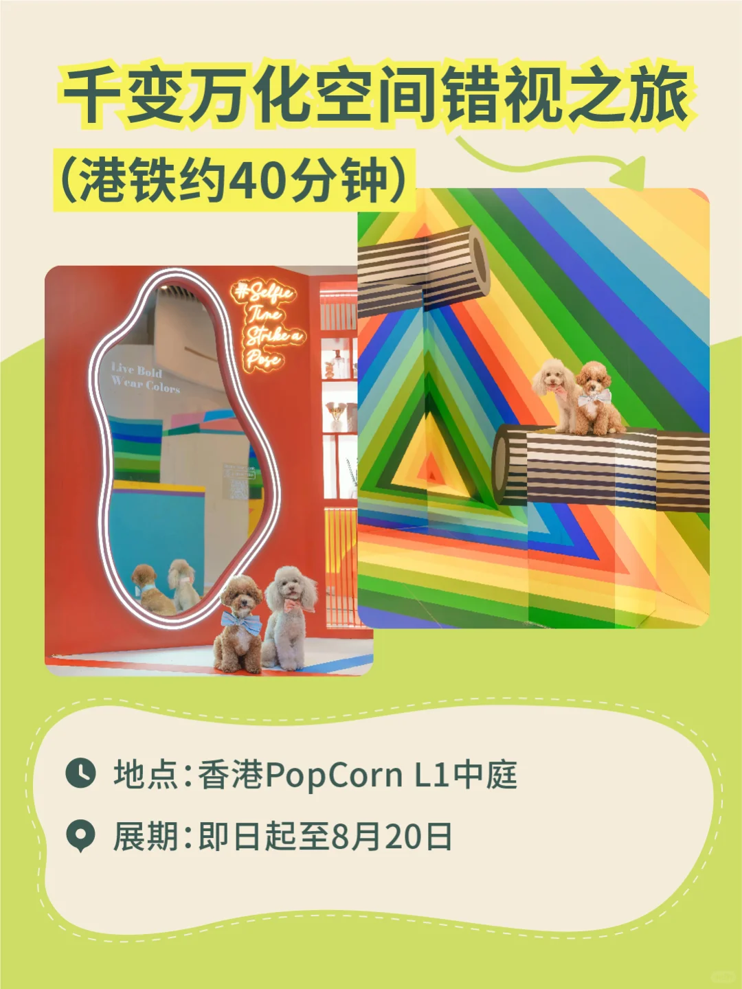 香港展览已经next level了?（附攻略）