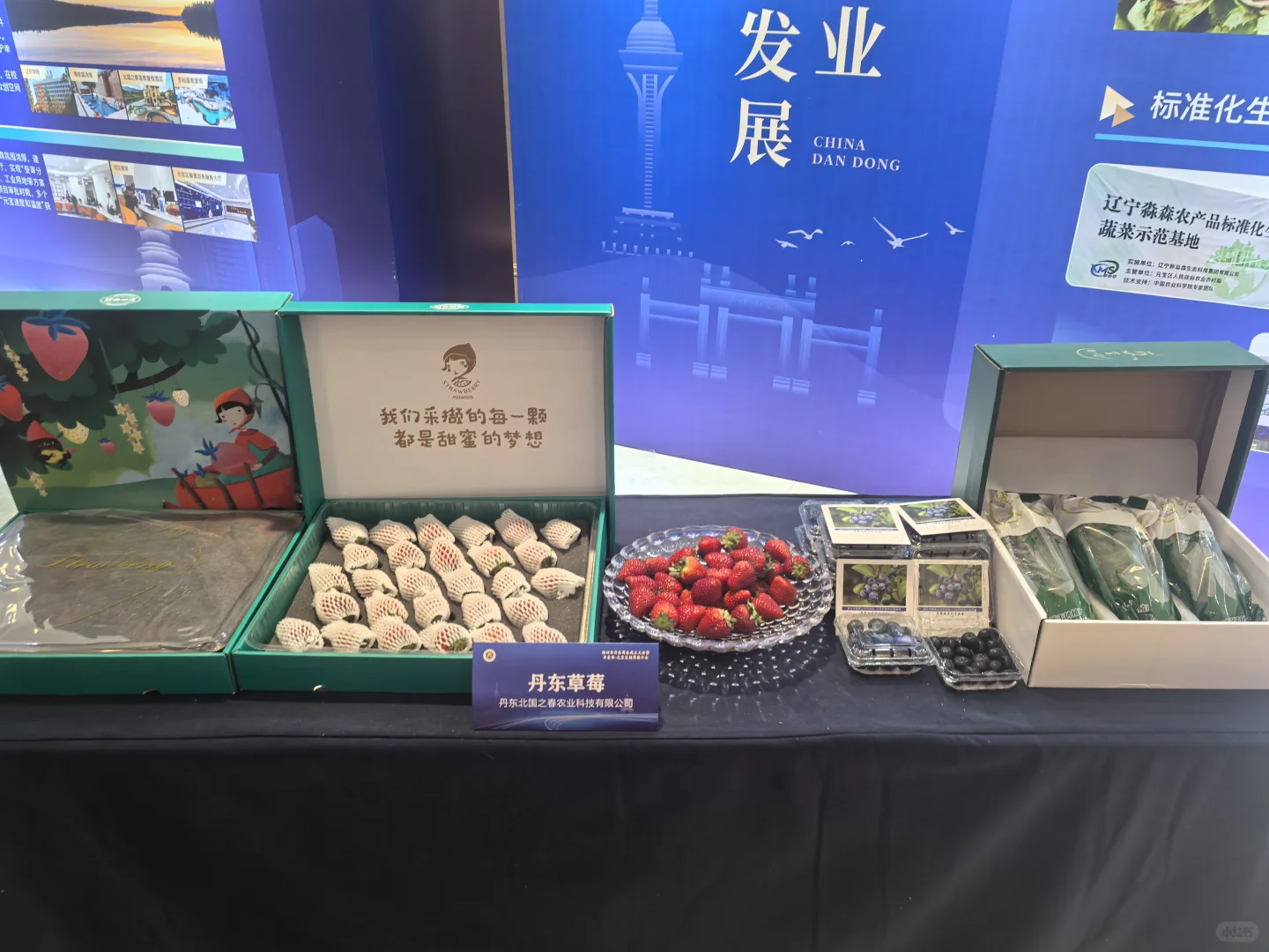 中诺会务助力农文旅展销会