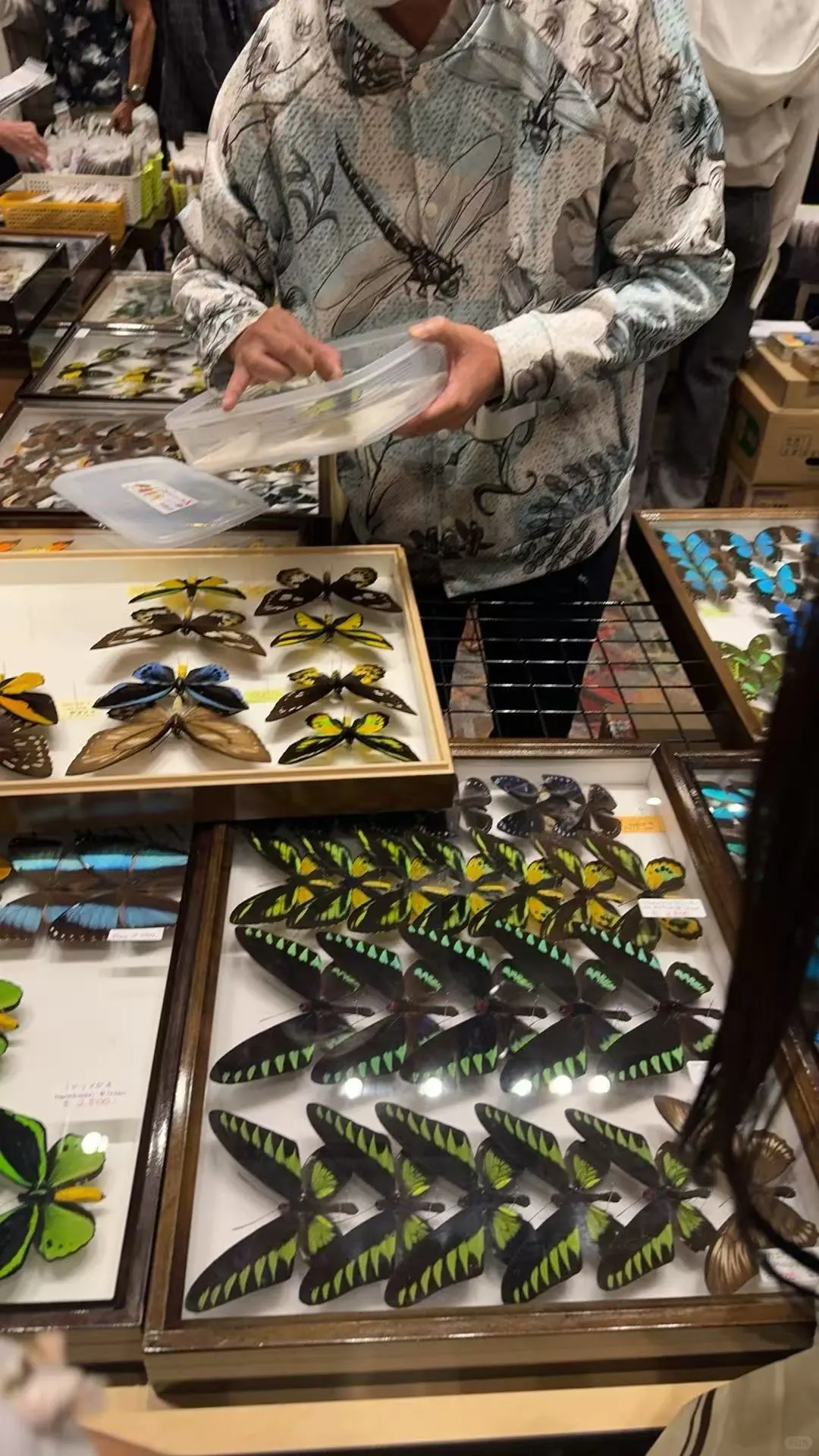 2024秋季昆虫展销会