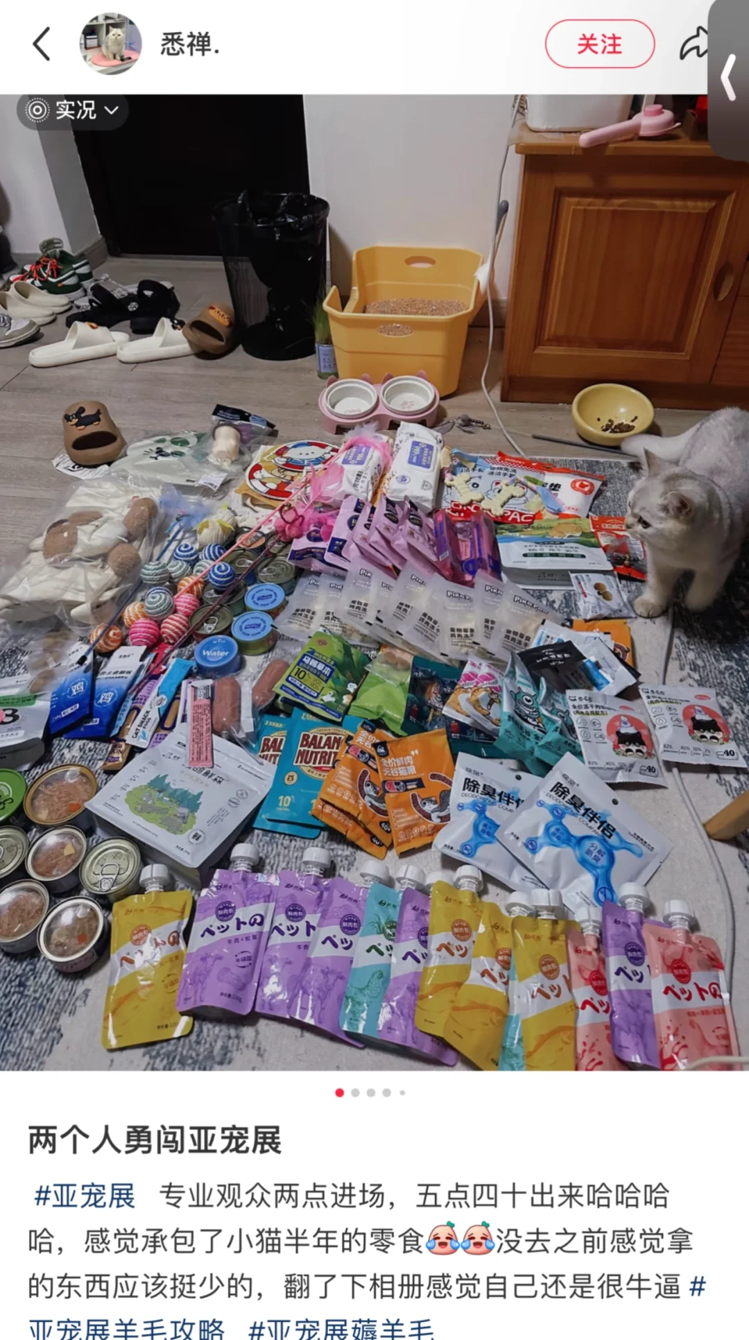 buff叠满‼️上海亚宠展3天通票25啦?一起媷