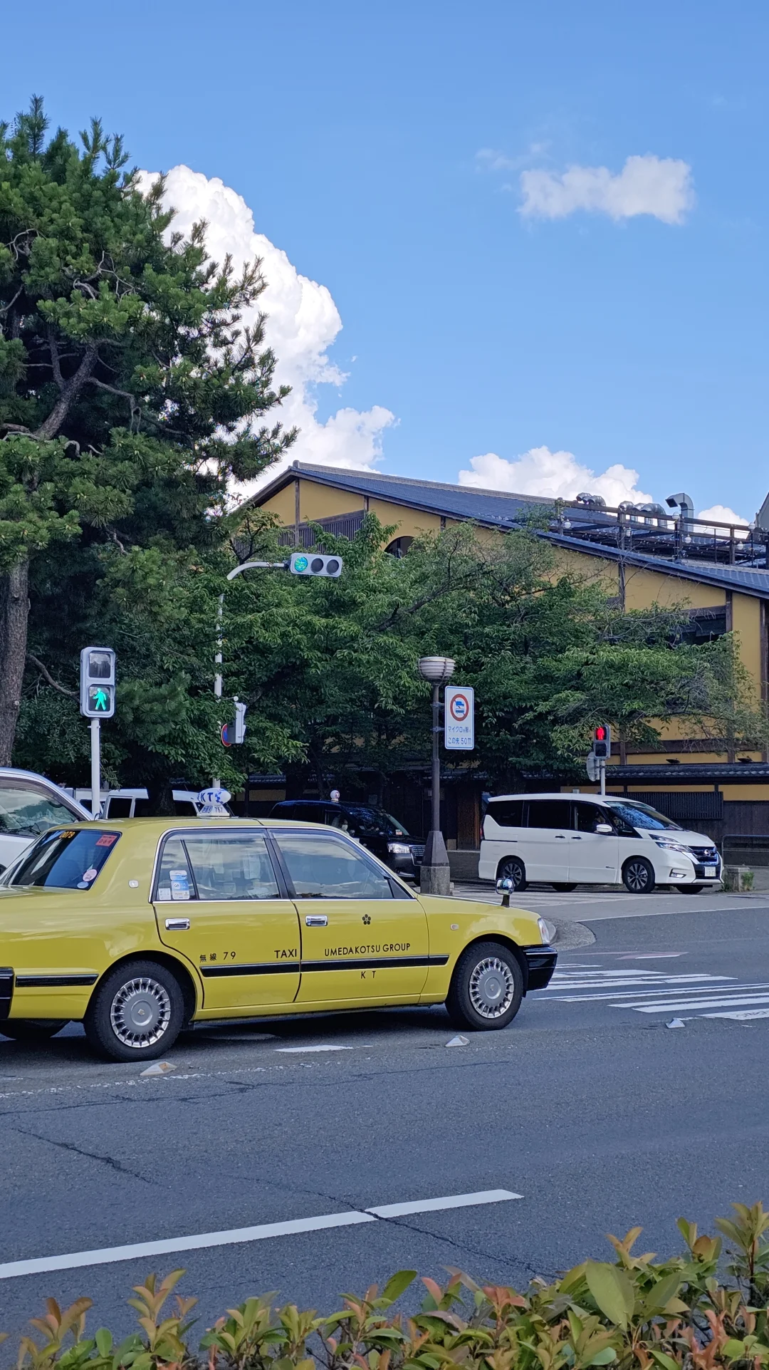 采购助理焦虑心慌中