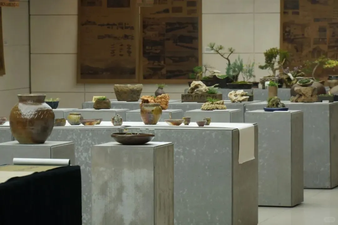 无需预约即可看到的河北大学设计展