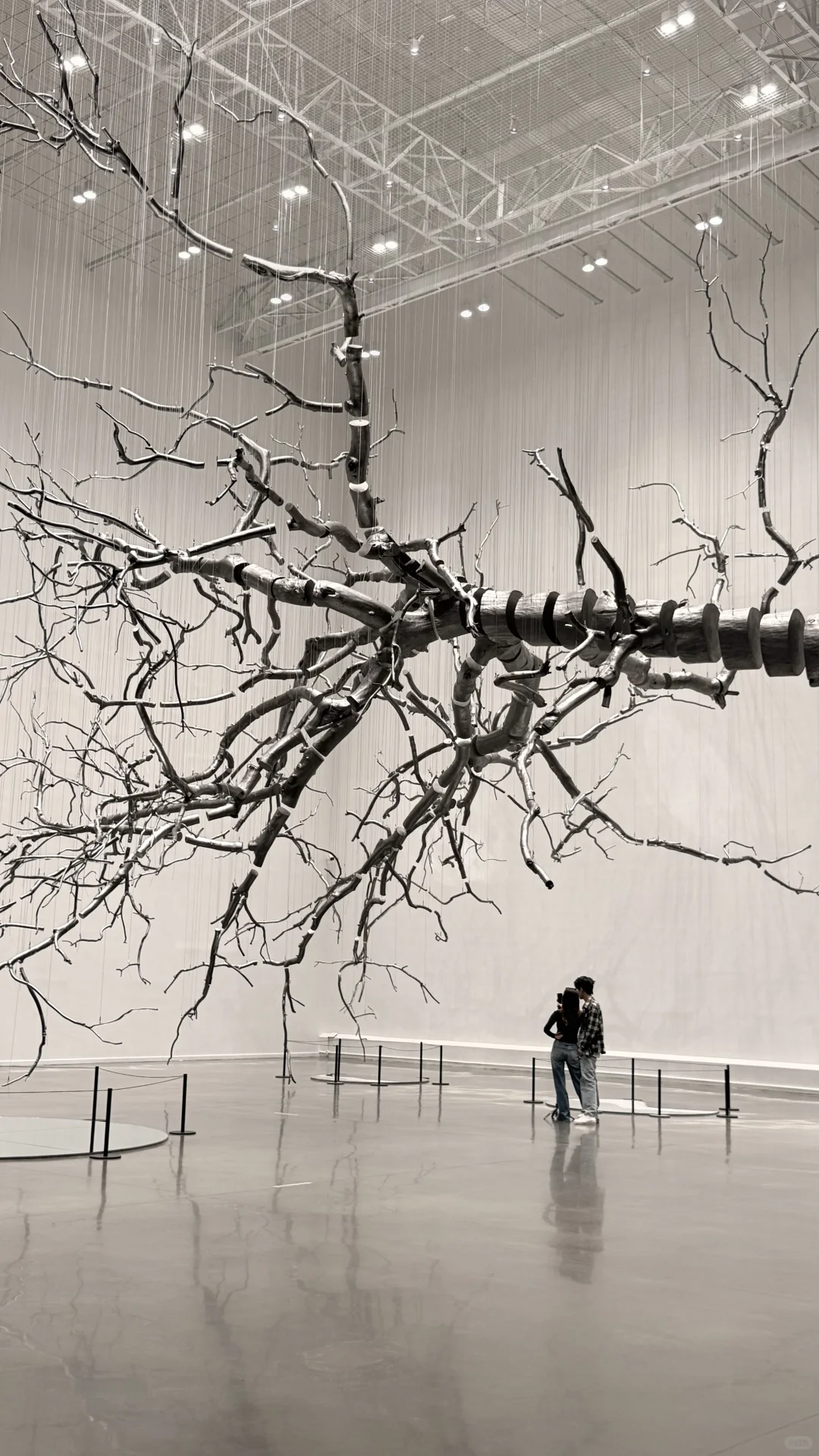 ?闯入巨型集装箱里的艺术宇宙一西贝贝