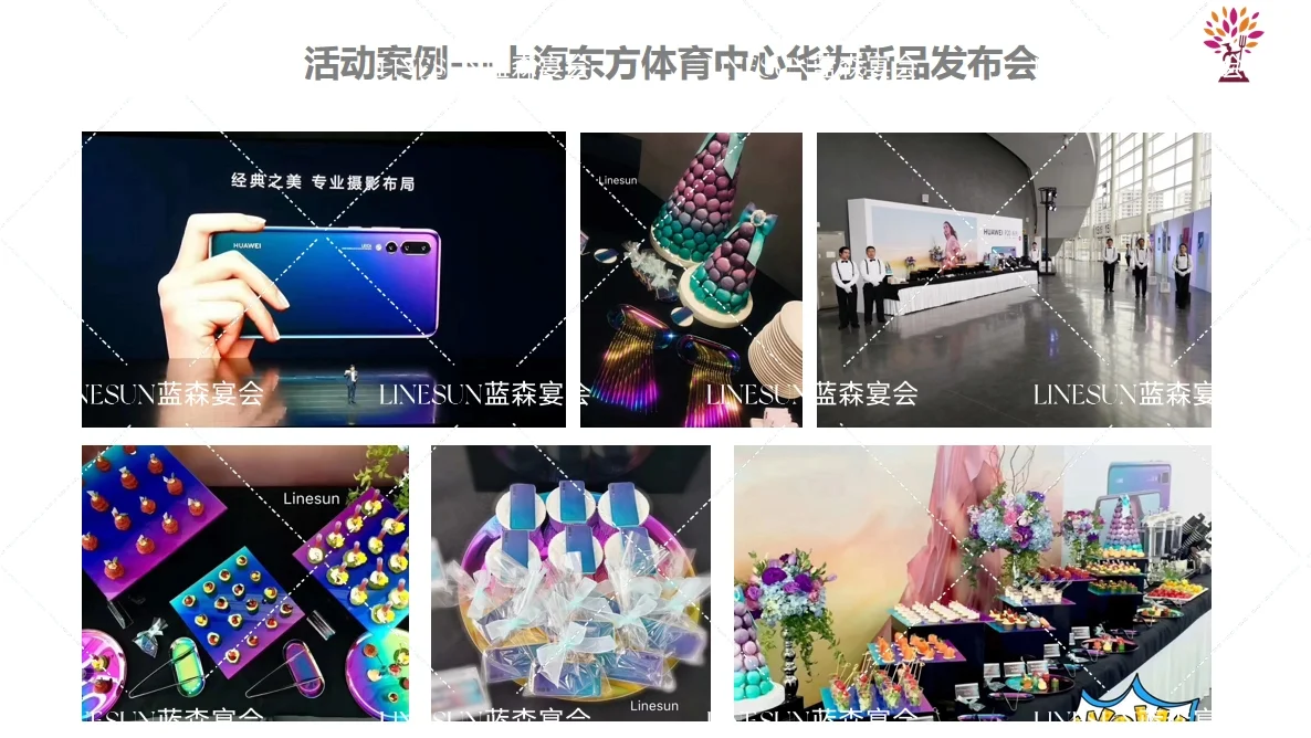 蓝森宴 国家会展中心 上海展会高端商务盒饭