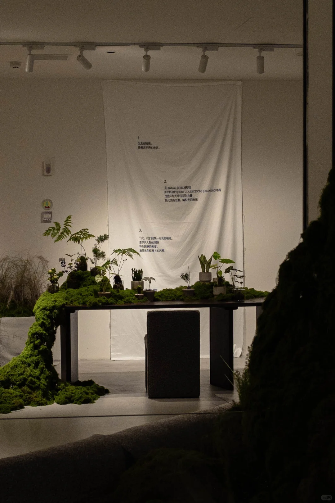 误入一片绿色海洋