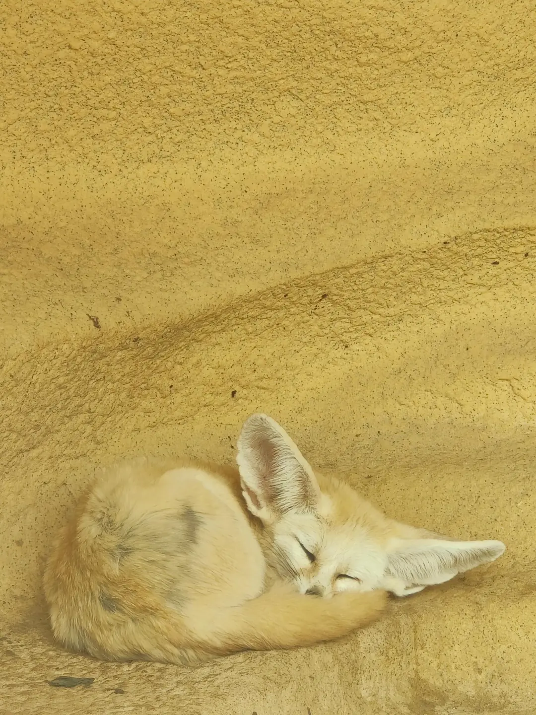 版式练习 | 海报设计