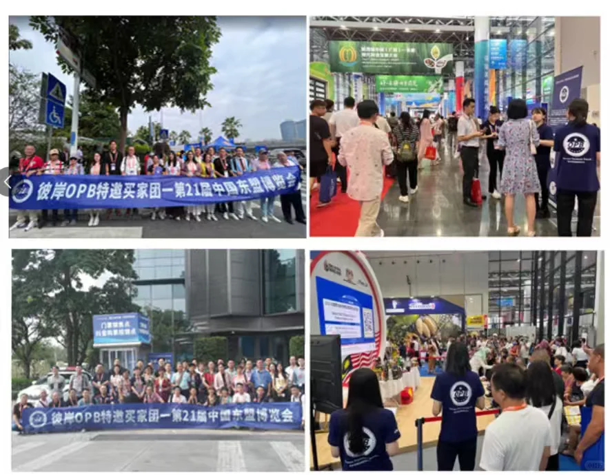 ?东盟博览会买家爽文:厂商排队求合作!