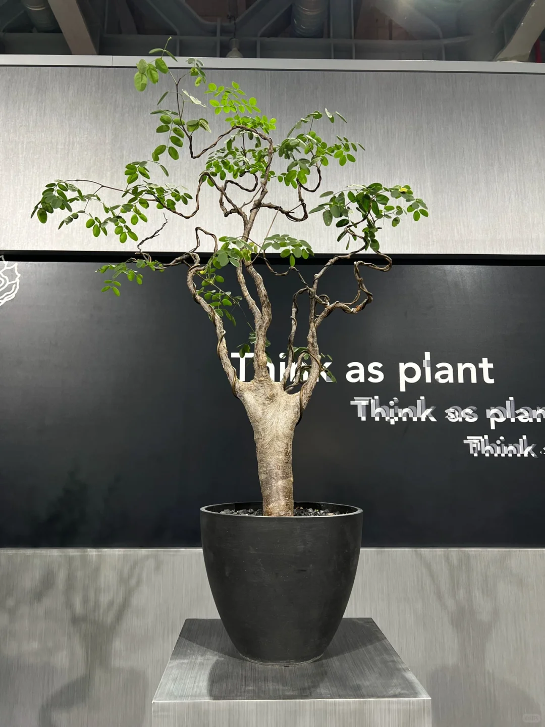 Usee潮流艺术设计展