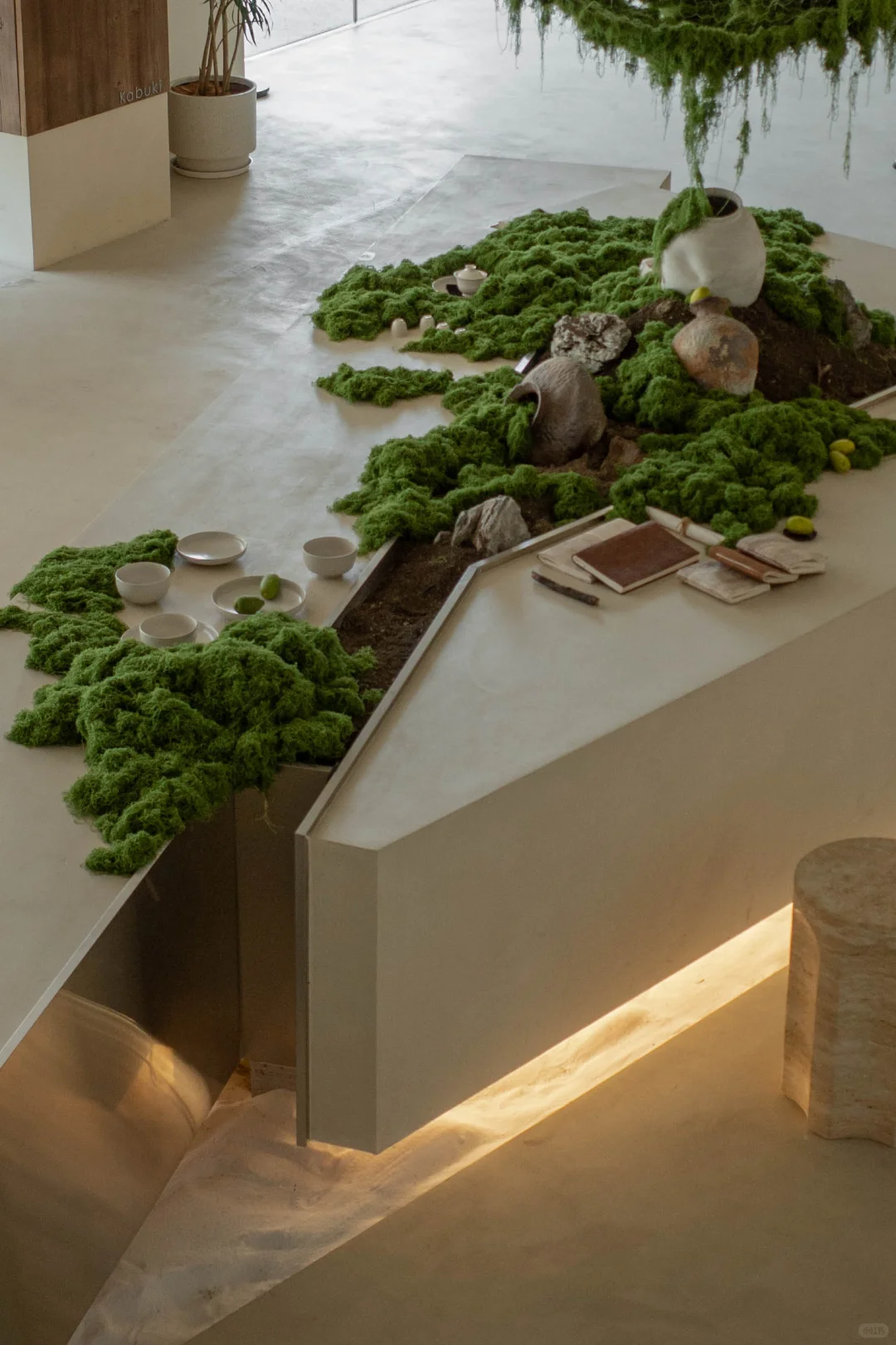 误入一片绿色海洋