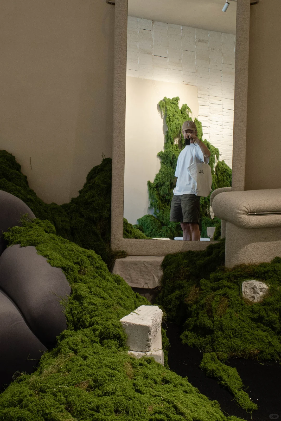 误入一片绿色海洋