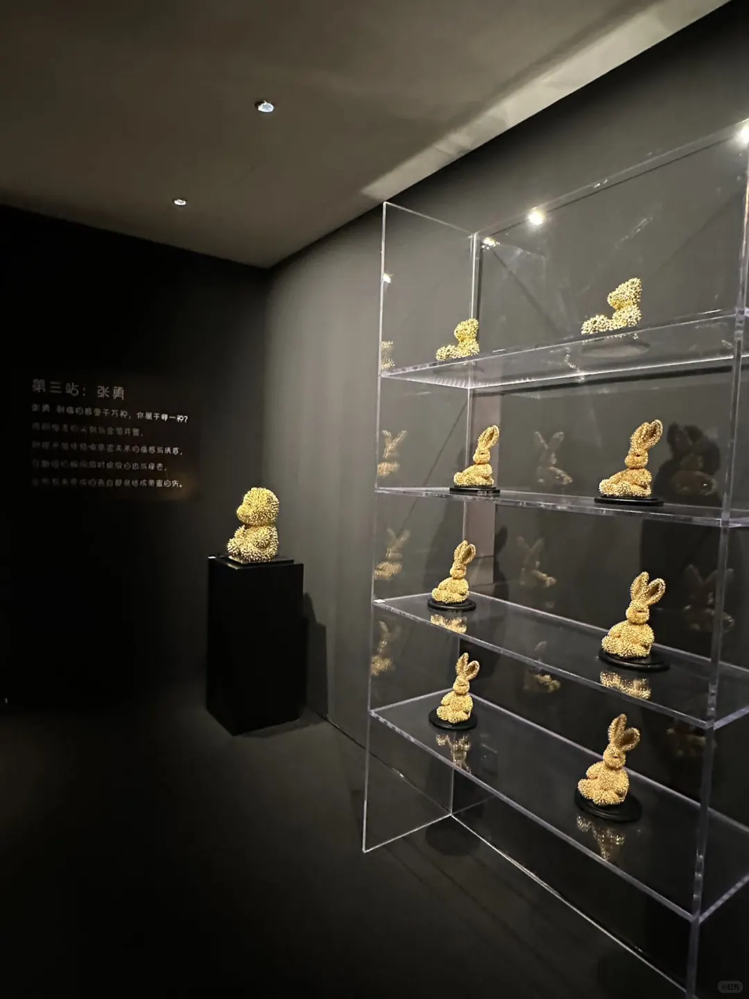 天津五大道新展?一起进入艺术家梦境