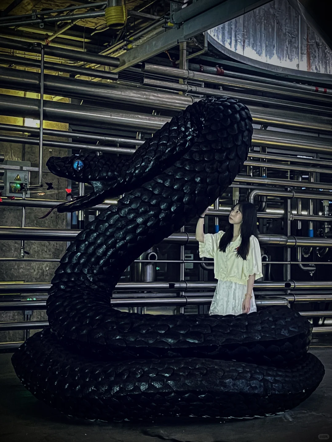 深圳新展｜发朋友圈被赞爆了