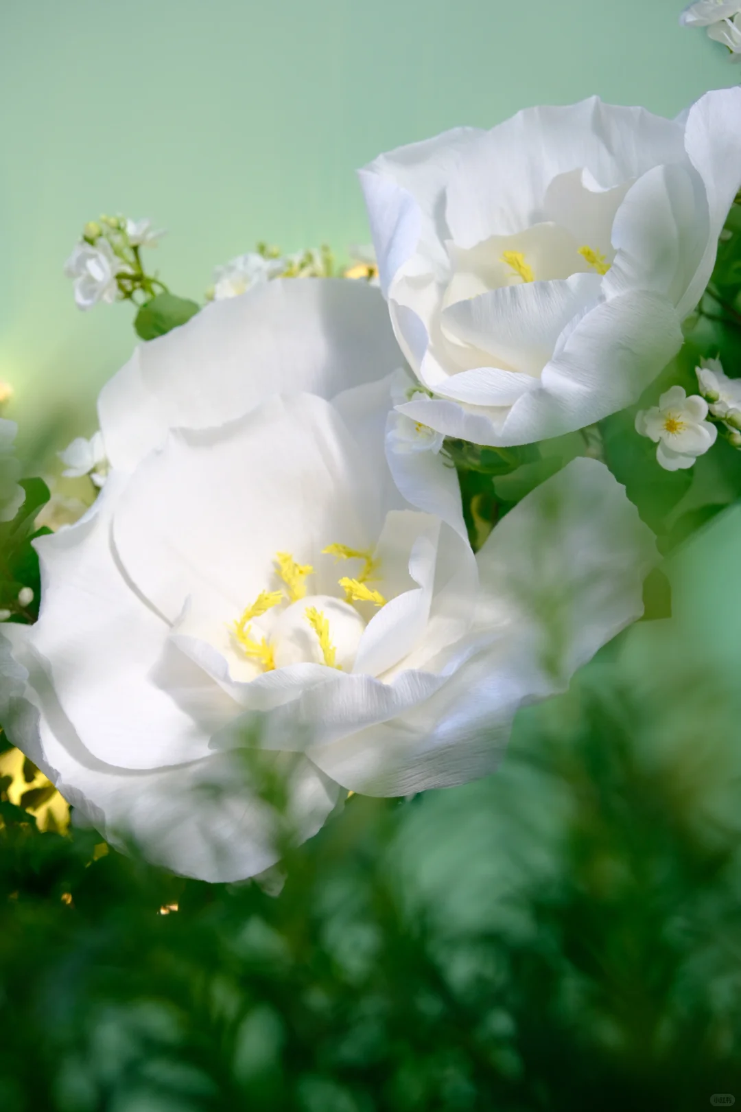 广西国际农业博览会最靓展位——中国邮政