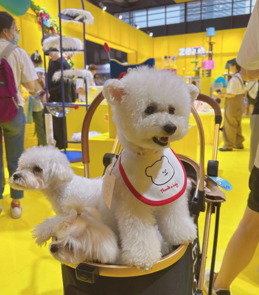 上海亚宠展报名