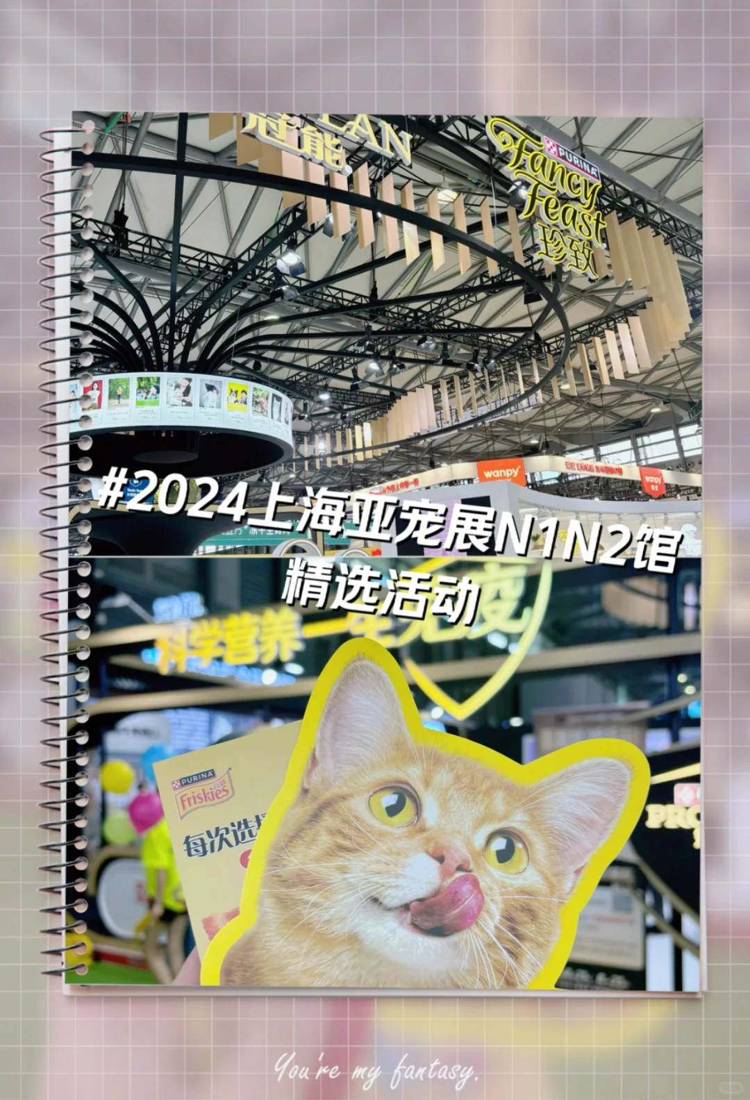 上海亚宠展报名
