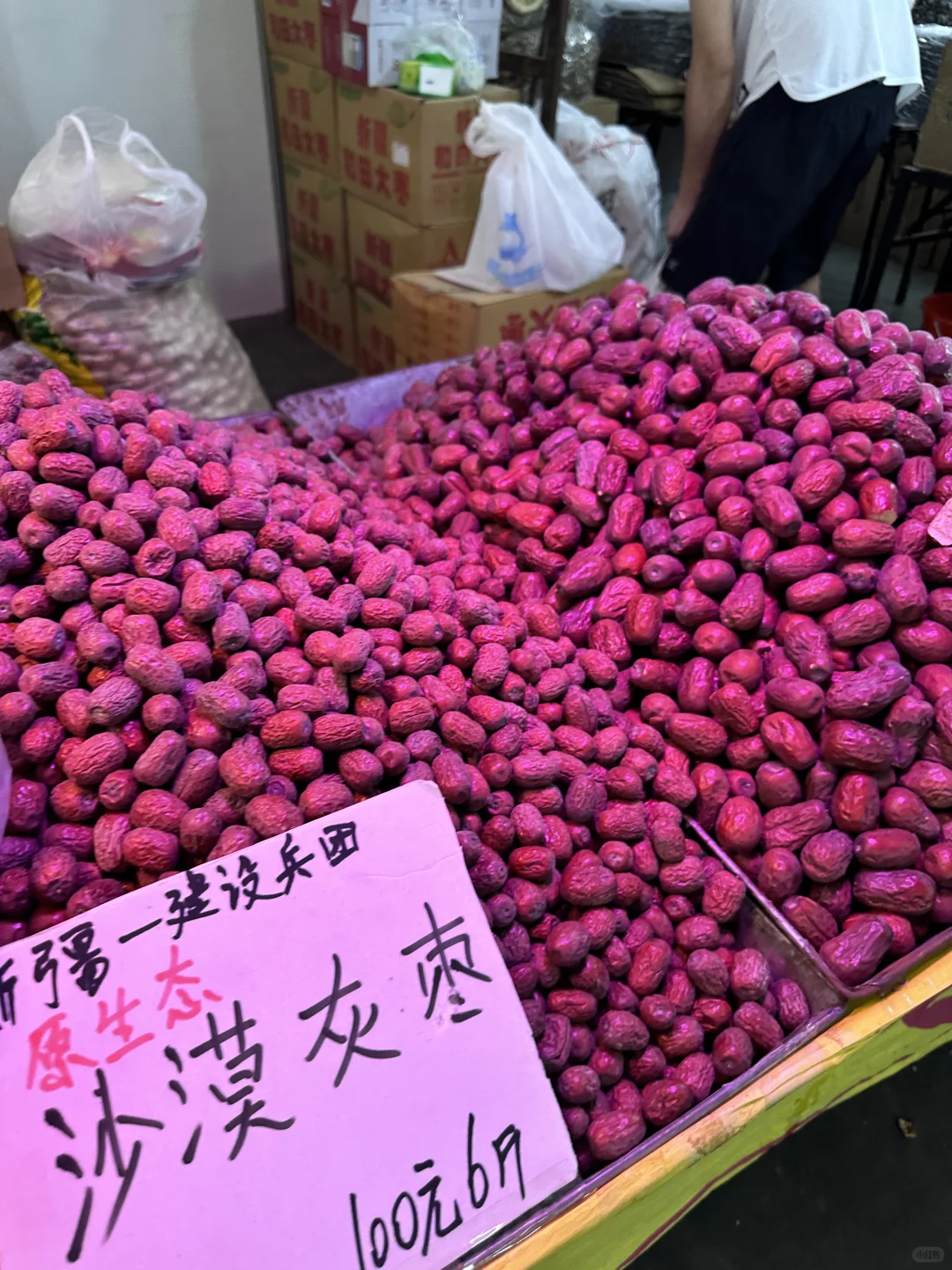 大学生勇闯辽宁工业展览馆版 上?️