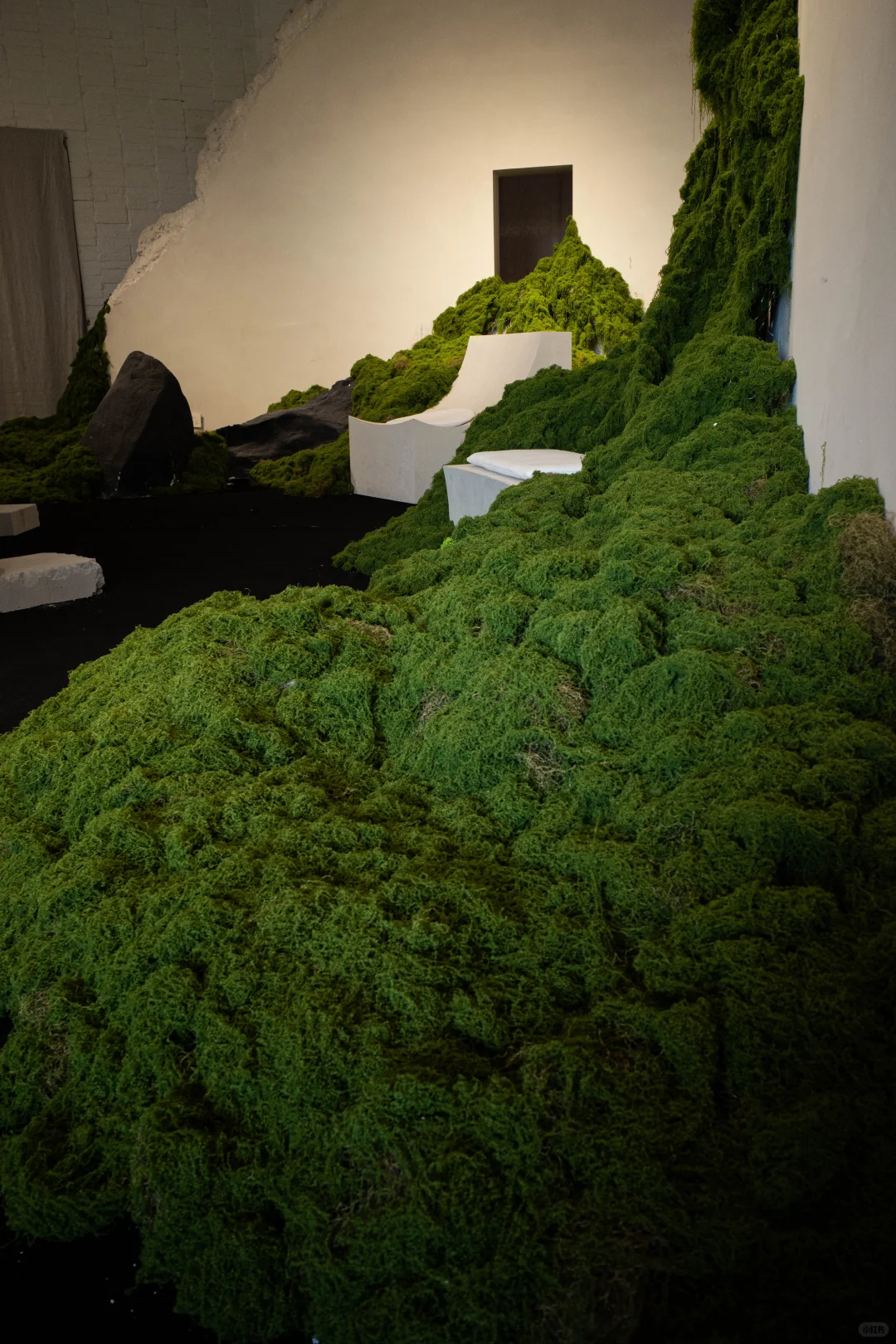 误入一片绿色海洋