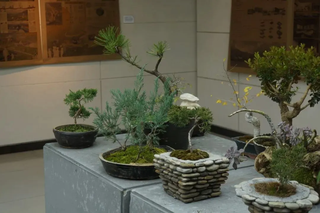 无需预约即可看到的河北大学设计展