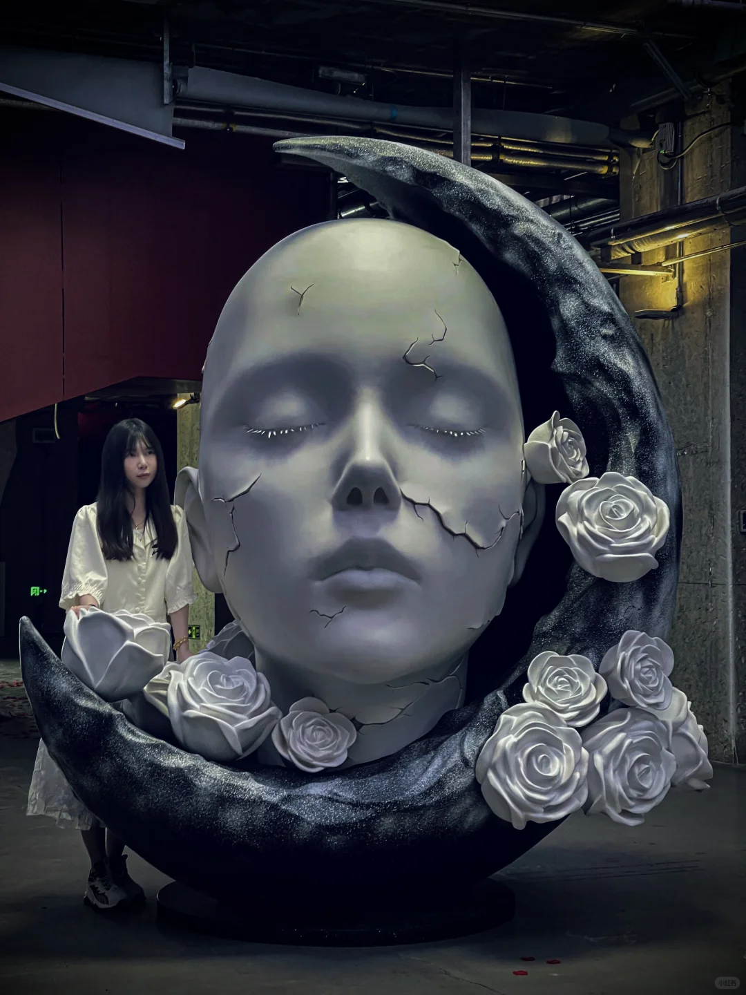 深圳新展｜发朋友圈被赞爆了