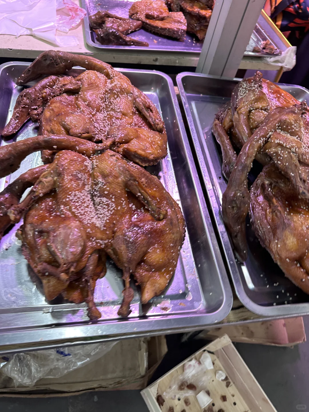 大学生勇闯辽宁工业展览馆版 上?️