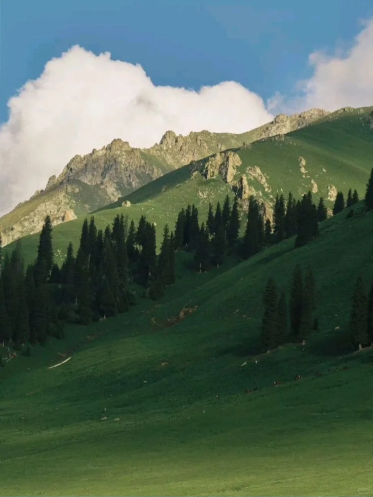 国家早就点明的赚?方向，别不知道