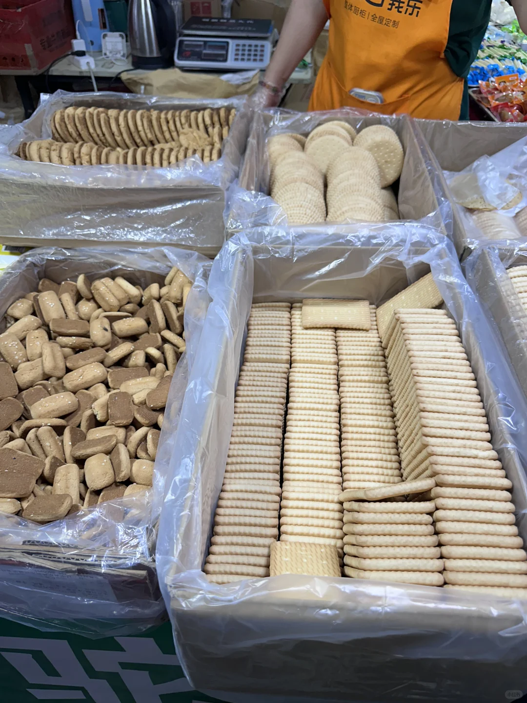 大学生勇闯辽宁工业展览馆版 上?️