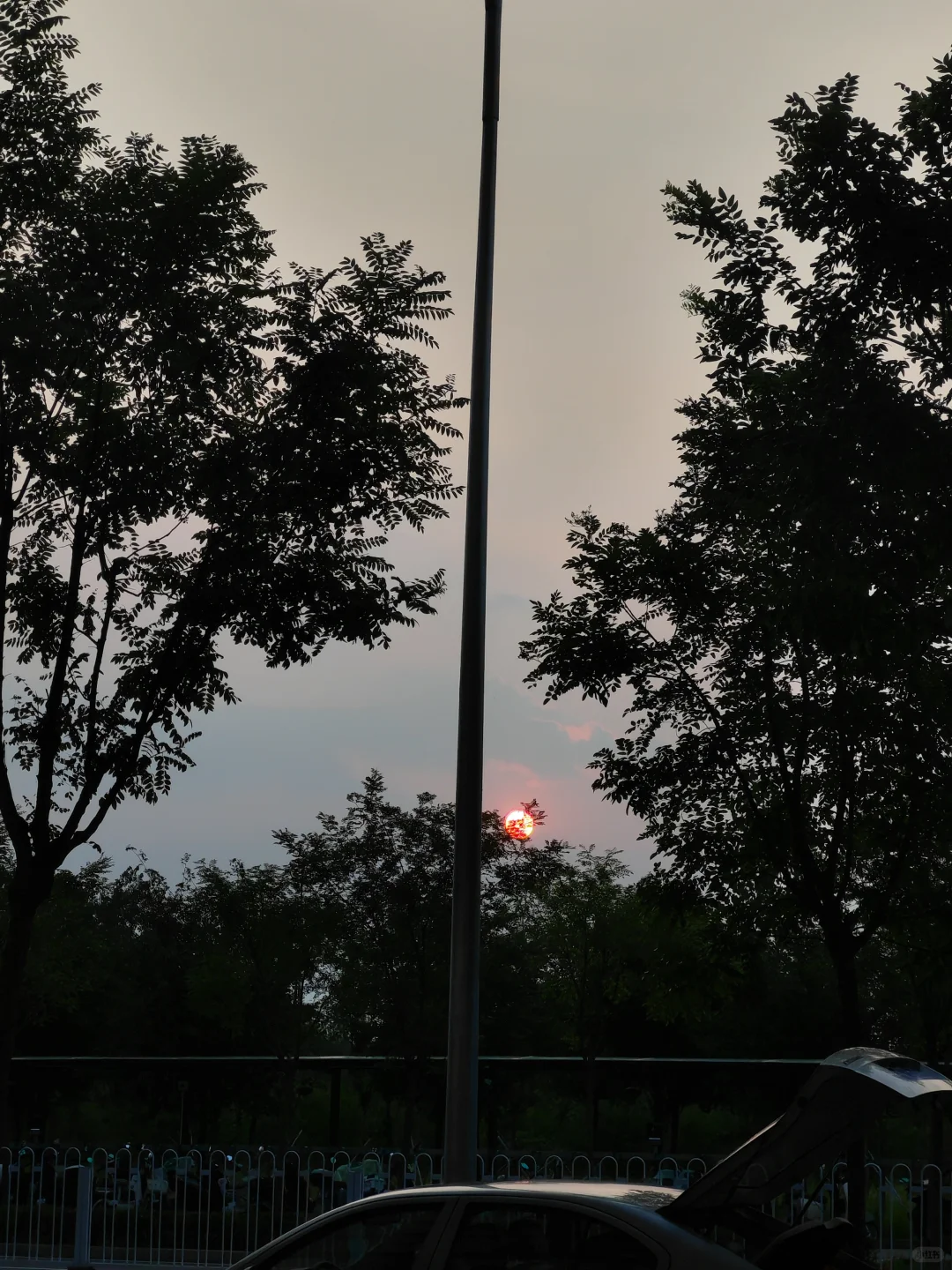 有意思的展谁不想看呢!!!